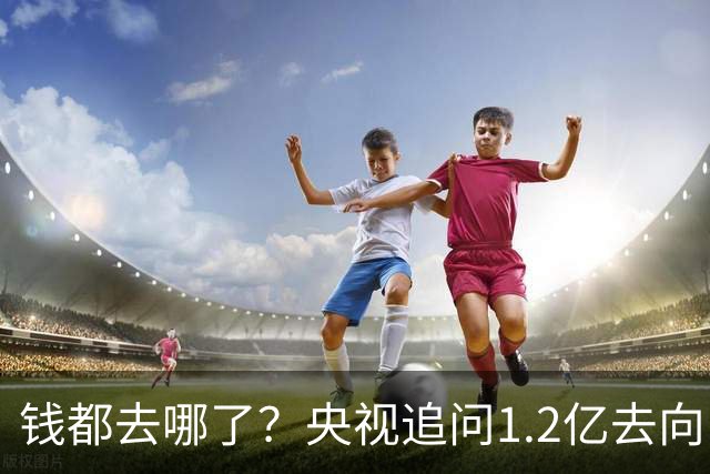 钱都去哪了？央视追问1.2亿去向，审核链条上的每一环都该睡不着